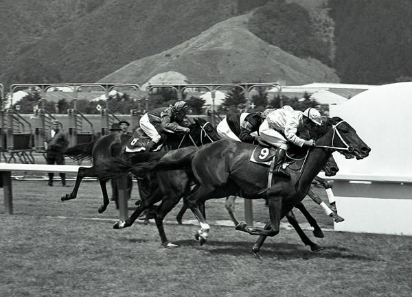 Ray Wallace trained Mayo Gold to win the 1969 New Zealand Oaks. Photo: Race Images Collection