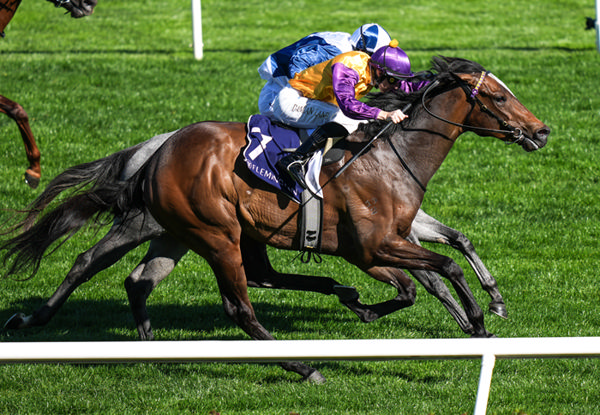 McGaw wins the G2 Danehill Stakes - image Scott Barbour / Racing Photos
