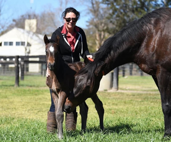 Mel Copelin is the Stud Manager at the Cornish family owned Torryburn Stud, pictured with Serena Miss and foal.