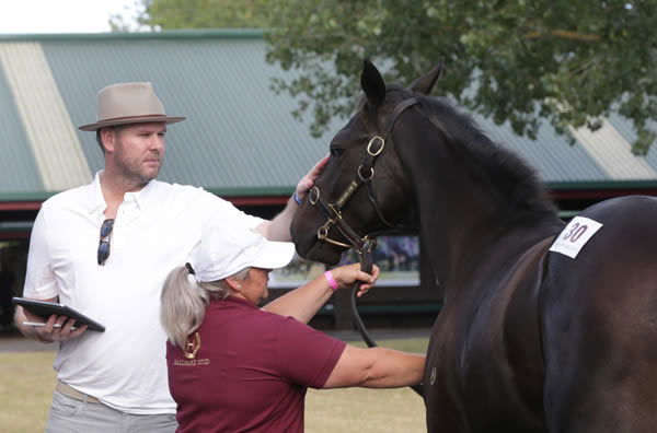 Bloodstock agent Michael Wallace during an on-site inspection at the Karaka sales complex Photo Credit: Trish Dunell