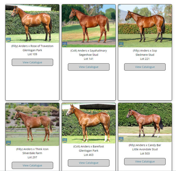 First Season Sire Galleries are online