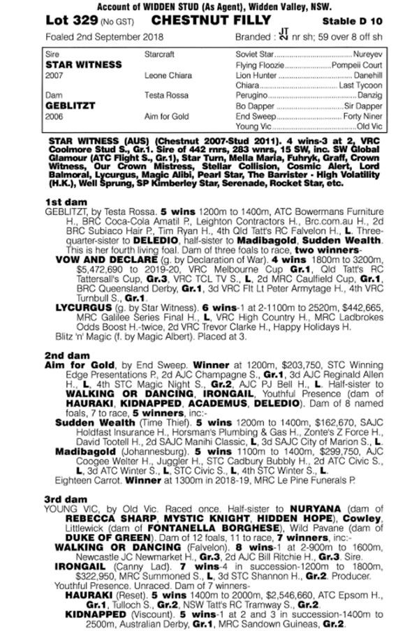 How much for the half-sister to a Melbourne Cup winner?