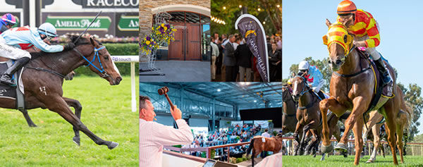 2021 Magic Millions Perth is now online.