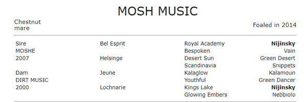 Mosh Music gets her stamina from the female side of her pedigree! 
