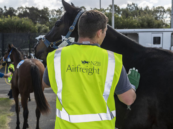 NZB Airfreight will award a prize of $2,000 to the Best Newcomer in each TiES division. 