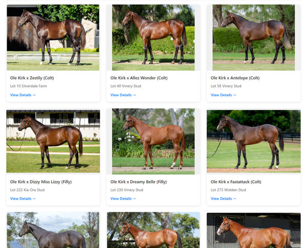 Clock for Ole Kirk yearlings at Magic Millions 2026