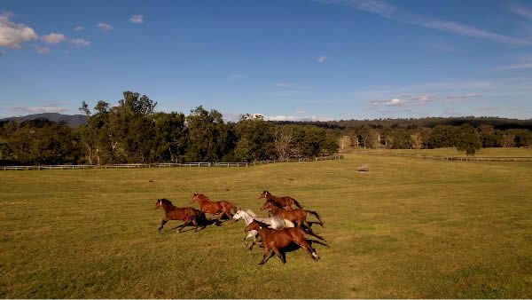 Middlebrook Valley Lodge has a past record of success and a bright future .