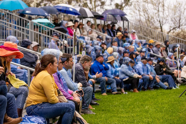 Rain did not dampen spirits at this year's parades.