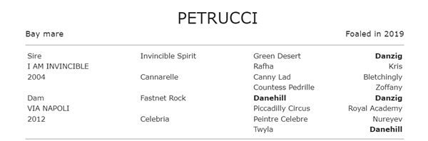 Petrucci has a big pedigree tracing to blue hen Dancing Show through the Twyla branch of the family.