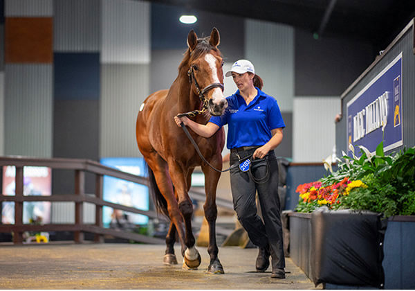 Phaistos sells for $165,000.