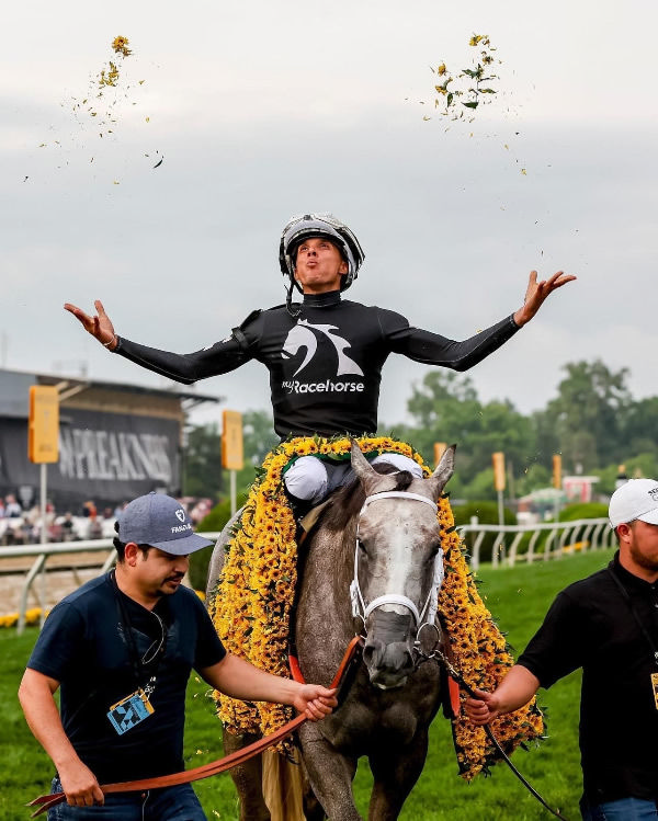 Seize the Grey runs for MyRacehorse owners!