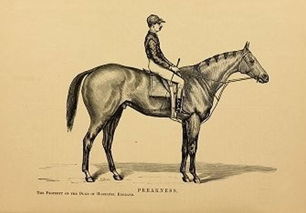 Preakness had a fascinating life story.