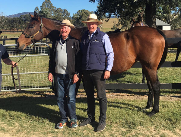 Pretty Penny with owner Dr Denis O'Brien and Colm Santry.