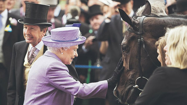 Her Majesty had a lifelong passion for breeding and racing thoroughbreds. Photo: Racing Post.