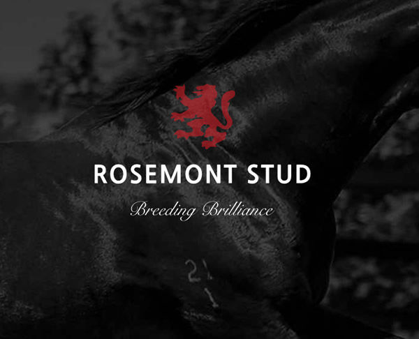 Click to find out more about Rosemont Stud.