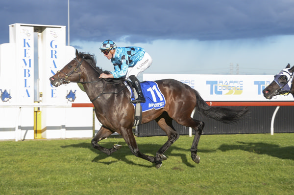 Ruination wins easily on debut - image Bradley Photography