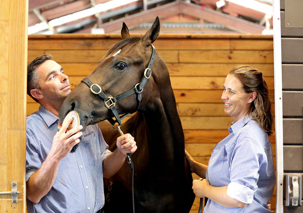 Highden Park principals Sam and Libby Bleakley will take Hong Kong heroes Werther and Ping Hai Star to Te Rapa's Legends Raceday on Saturday.   Photo: Trish Dunell