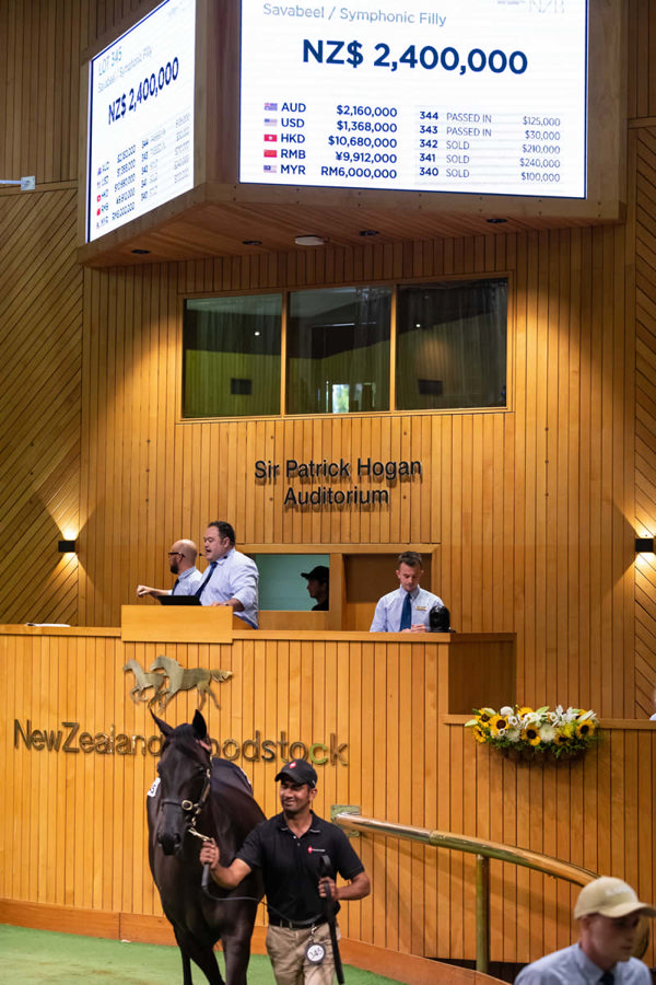 2025 sale-topping Savabeel filly from Symphonic that sold for $2.4million.