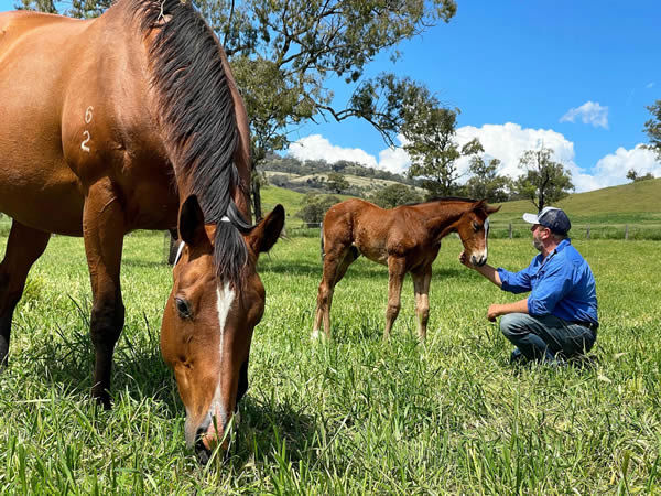 Serene Majesty and her 2021 I Am Invincible colt.