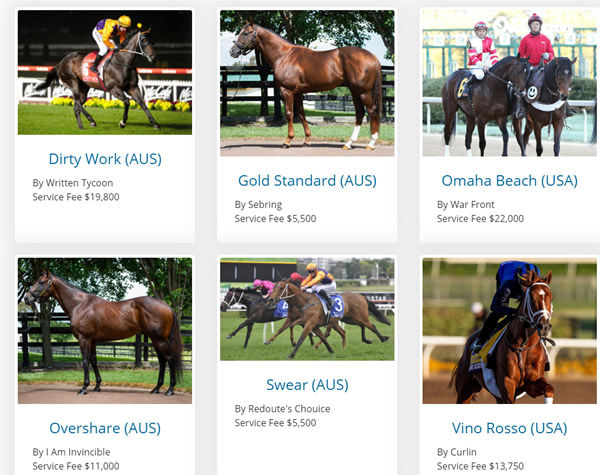 Click to visit the Virtual Stallion Parade section on Breednet. 