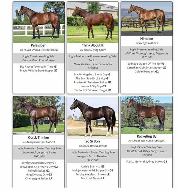 Click to see all of his SW yearlings.