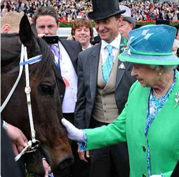 Even The Queen wanted to meet Black Caviar at the height of her fame!