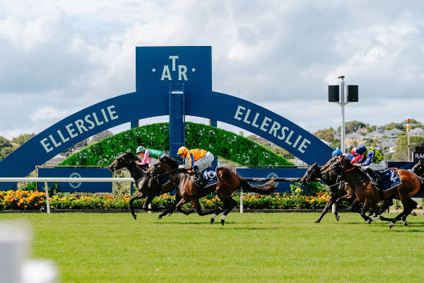 Trans Tasman racing has gained widespread support - Photo: Sonna Studios