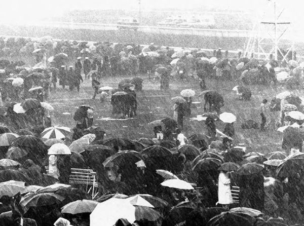 Flemington before the 1976 Melbourne Cup - image Australian Racing Museum 