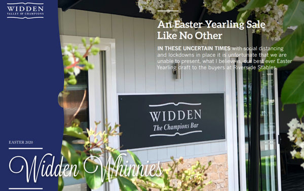 Click to read the Widden Whinnies with video parades for every yearling.