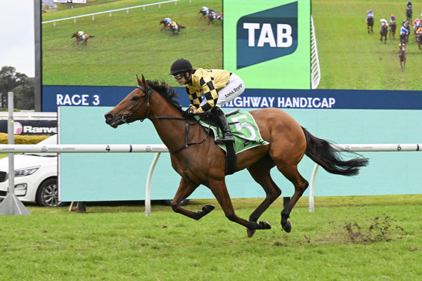 Without Parallel wins by daylight at Rosehill - image Bradley Photography