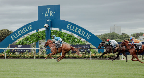 Ellerslie is set to host two World Pool meetings in early 2025.  Photo: Nicole Troost