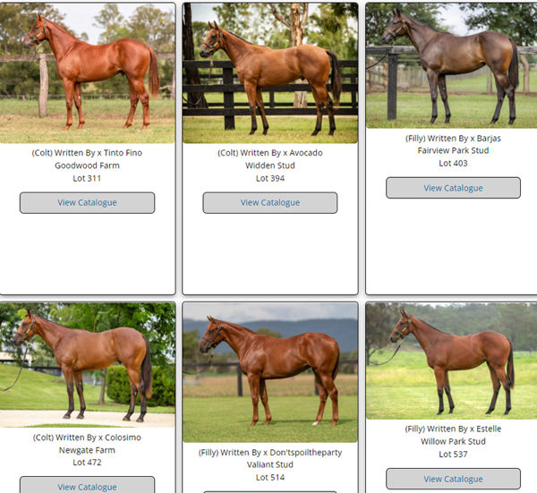 Click to see all the Written By Classic yearlings. 