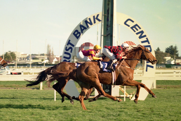 The late Ian Boyland enjoyed racing a number of horses, including Group Three performer Young Pirate, who contested the Gr.1 Melbourne Cup (3200m).  Photo: Race Images
