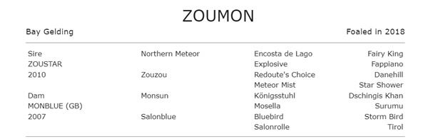 Zoumon might be more Monsun than Zoustar!