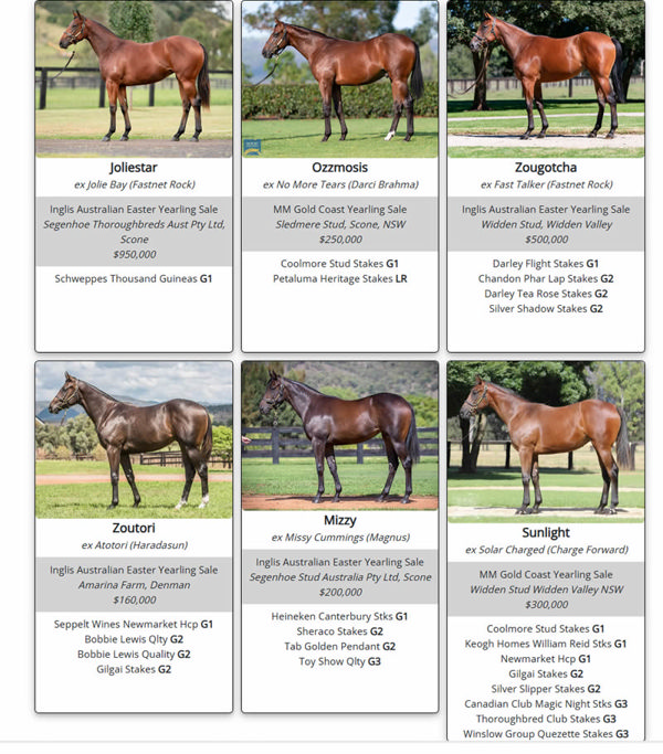 Click here to see all of his SW yearlings. 