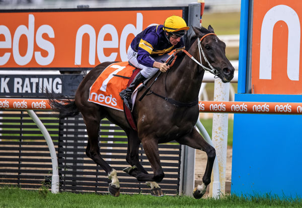 Easy for Mount Popa in Mornington Cup (image Grant Courtney)
