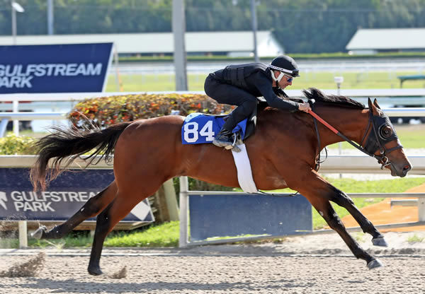 $1.1million Justify colt from Appealing Zophie