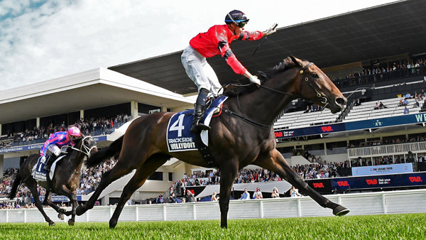 Willydoit winning the Gr.1 Trackside New Zealand Derby (2400m) at Ellerslie on Saturday. Photo: Kenton Wright (Race Images)