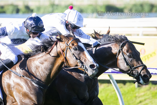 G1 Winterbottom Stakes produced an epic thriller, but gee there was some dodgy Black type on offer in other parts of Australia on Saturday - image Western Racepix 