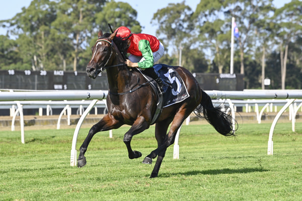 Scintilla winning. Photo: bradleyphotos.com.au