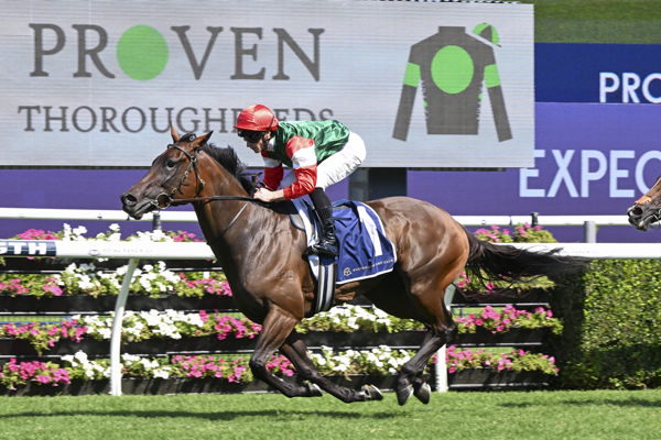 Amelia's Jewel wins the G2 Proven Thoroughbreds Guy Walter Stakes. Photo: bradleyphotos.com.au