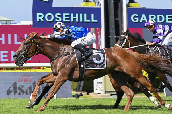 vauban winning the Sky High Stakes. Photo: bradleyphotos.com.au