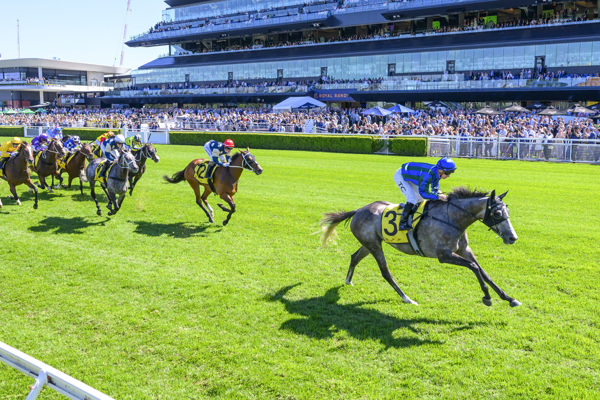 Alalcance too strong at the finish of the G2 Chairman's Quality. Photo: bradleyphotos.com.au