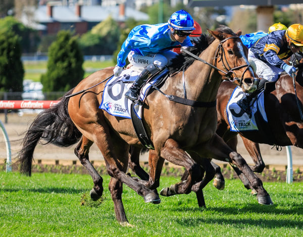 A Little Deep wins her first stakes race - image Grant Courtney