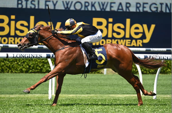 A Lot More Love wins her first stakes race - image Steve Hart