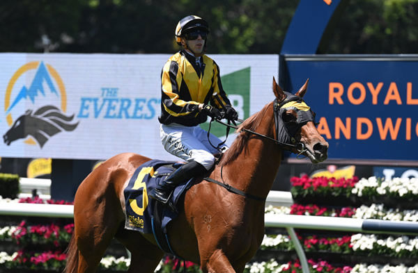 Blinkers were key to A Lot of Love claiming her first stakes victory - image Steve Hart