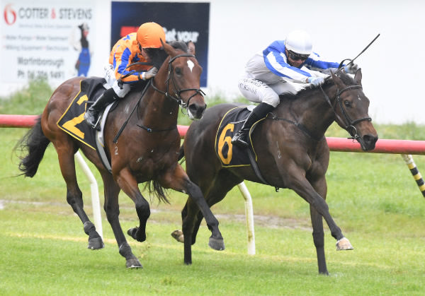 Abbakiss (inside) edges out Carsolio to win the Johnson Brothers (1000m) at Tauherenikau on Sunday.  Photo: Peter Rubery (Race Images Palmerston North)