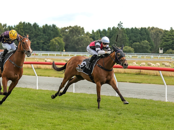 Green Luck will contest the Listed Speight’s Timaru Stakes (1400m) at Riccarton on Saturday.   Photo: Race Images South