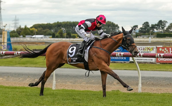 Aberlour winning the Listed Southland Guineas (1600m).   Photo: Monica Toretto