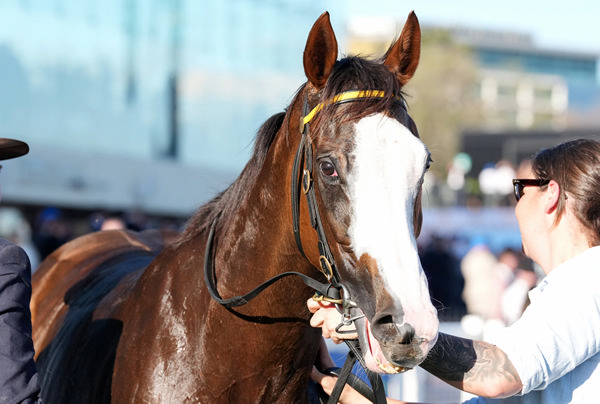 Abounding is a beauty - image George Sal / Racing Photos